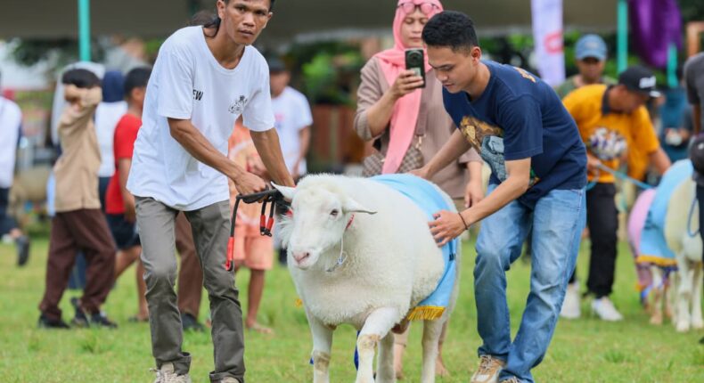 foto slider headline