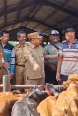 berita-rekomendasi-foto