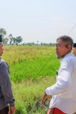 berita-rekomendasi-foto